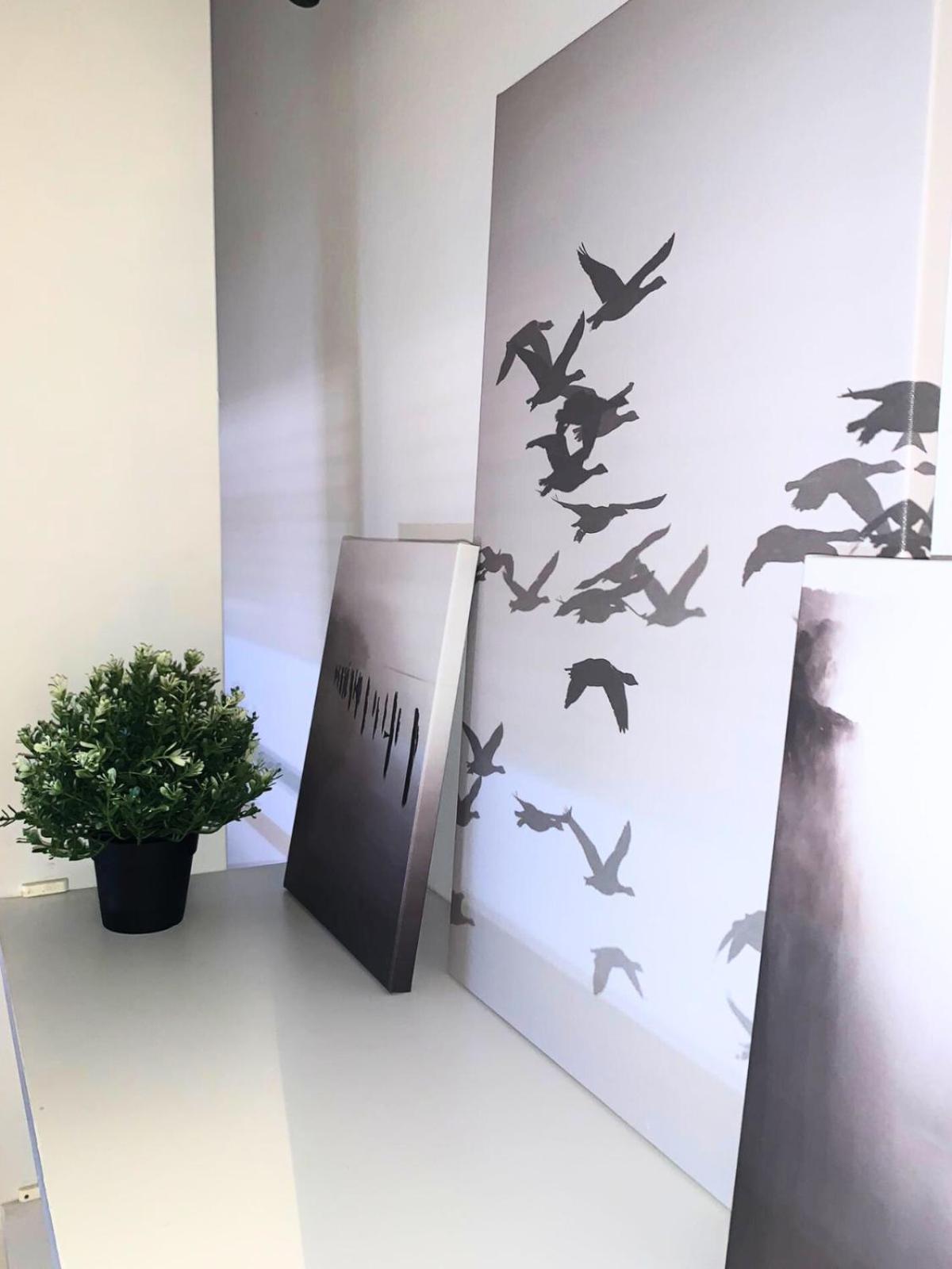 Bellaria Beach Apartments Dış mekan fotoğraf